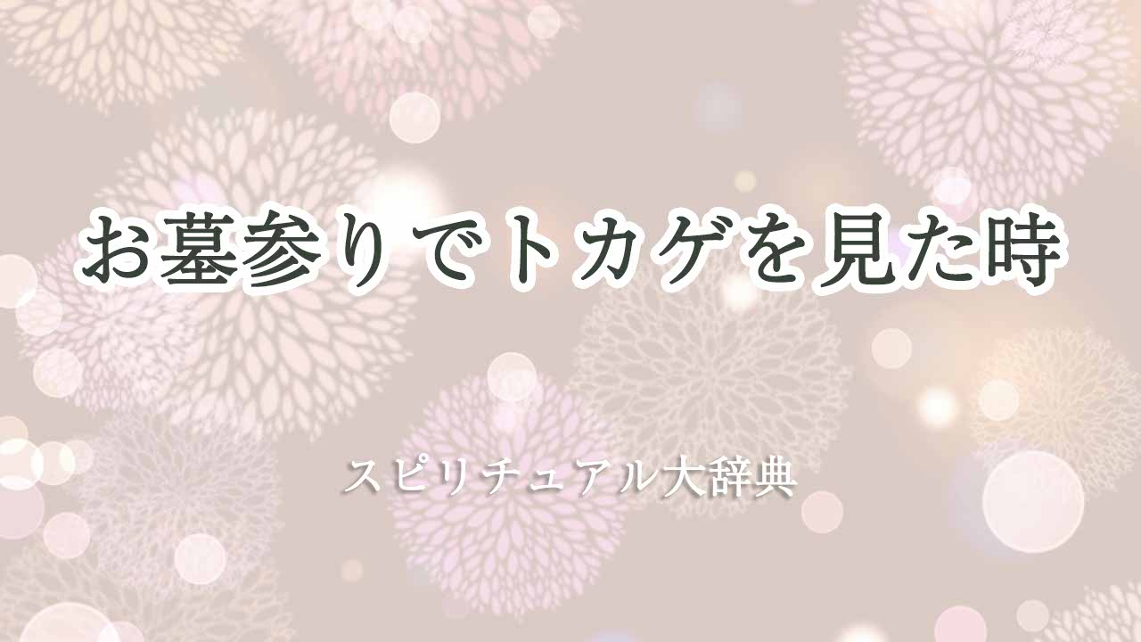 お墓参り-トカゲ-スピリチュアル