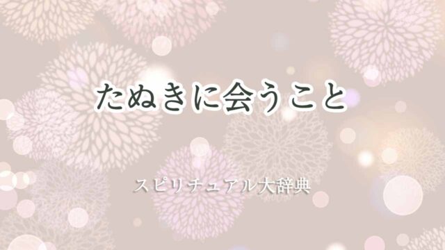 たぬきに会う-スピリチュアル