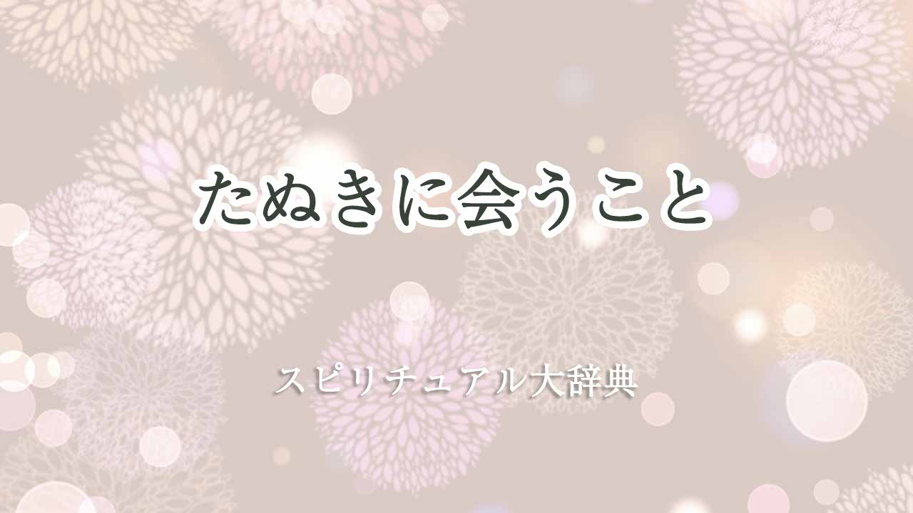 たぬきに会う-スピリチュアル