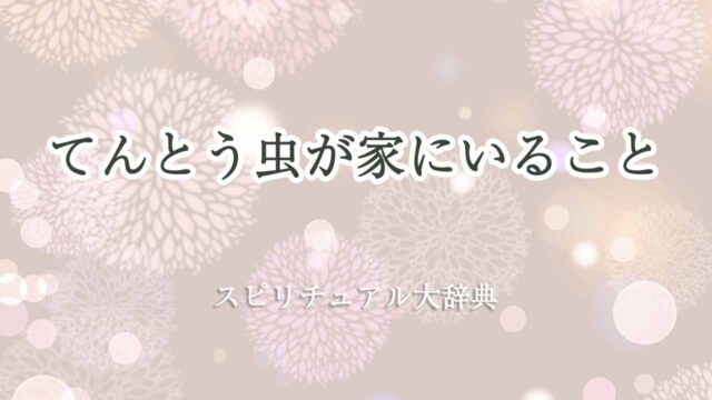 てんとう虫-スピリチュアル家