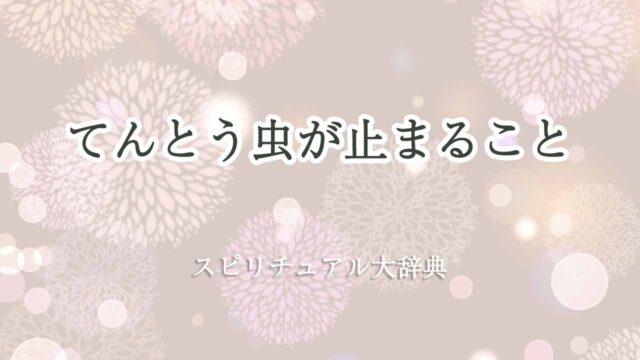 てんとう虫-止まる-スピリチュアル