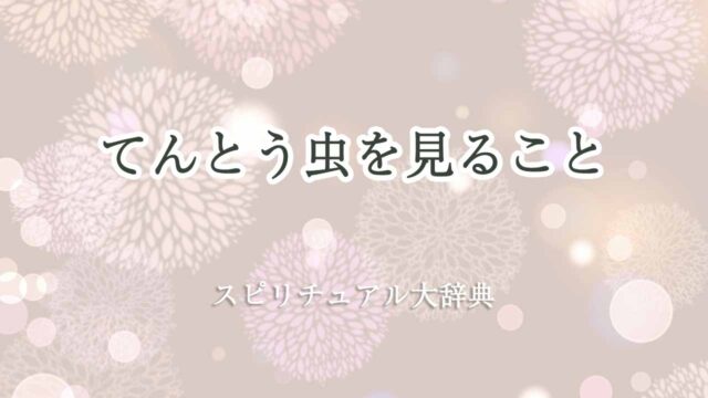 てんとう虫を見る-スピリチュアル