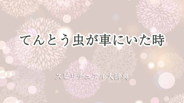 てんとう虫スピリチュアル-車