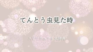 てんとう虫見た-スピリチュアル
