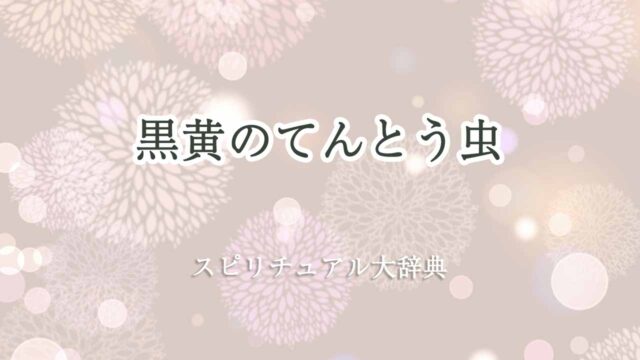 てんとう虫黒黄スピリチュアル