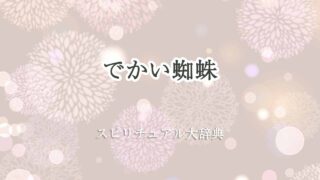 でかい蜘蛛-スピリチュアル