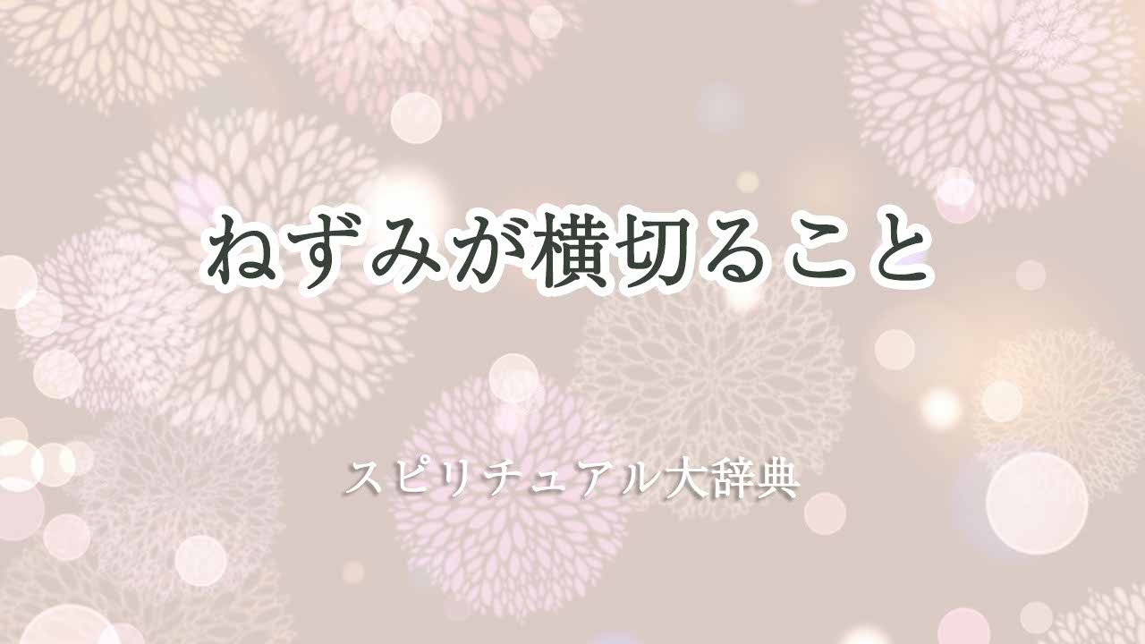 ねずみ-横切る-スピリチュアル