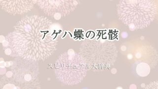 アゲハ蝶-死骸-スピリチュアル