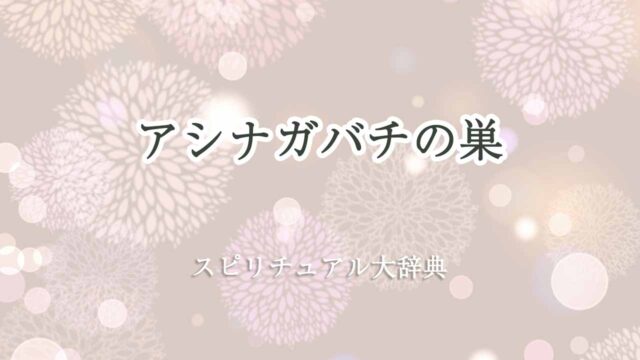 アシナガバチ-巣-スピリチュアル