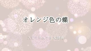 オレンジ-色-蝶-スピリチュアル