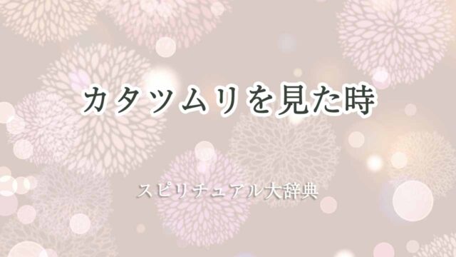 カタツムリを見た-スピリチュアル