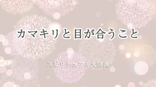 カマキリ-目-が-合う-スピリチュアル