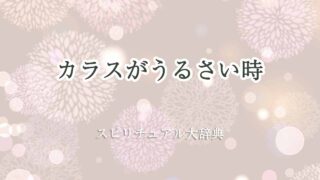カラス-うるさい-スピリチュアル