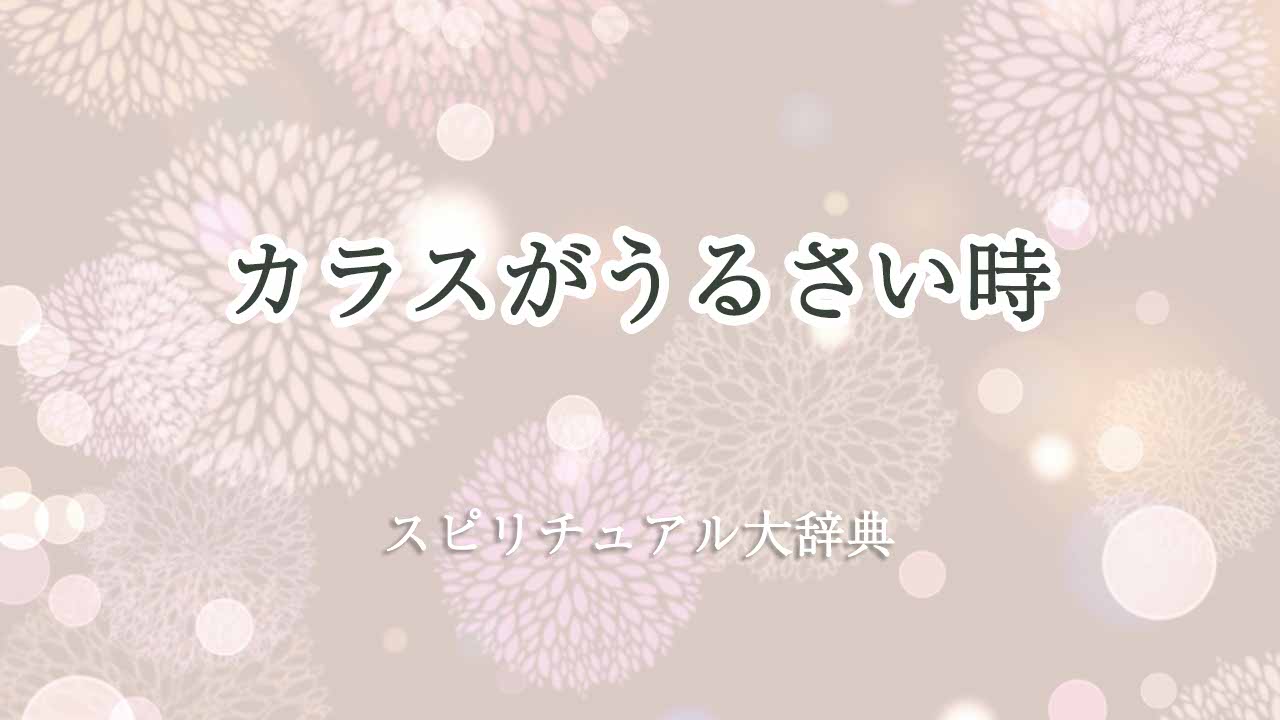 カラス-うるさい-スピリチュアル