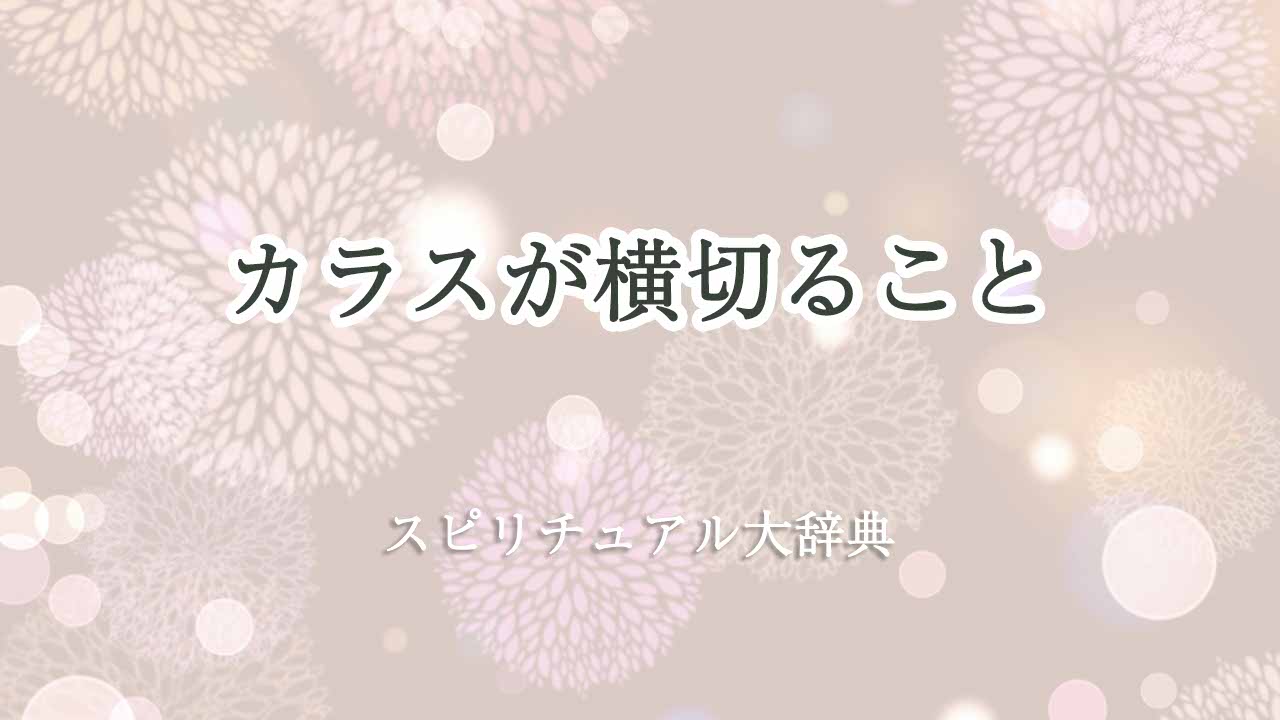 カラス-が-横切る-スピリチュアル