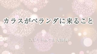 カラス-ベランダに来る-スピリチュアル
