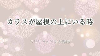 カラス-屋根-の-上-スピリチュアル