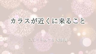 カラス-近く-に-来る-スピリチュアル
