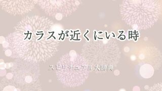 カラス-近くにいる-スピリチュアル