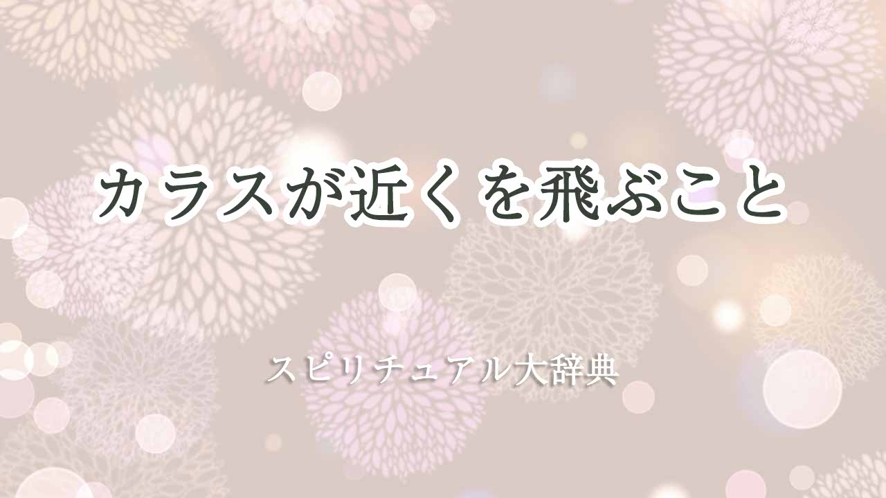 カラス-近くを飛ぶ-スピリチュアル