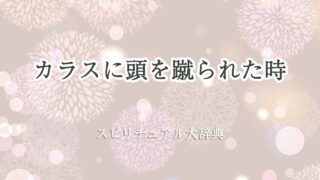 カラス-頭-蹴-られ-た-スピリチュアル