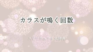 カラス-鳴く-回数-スピリチュアル