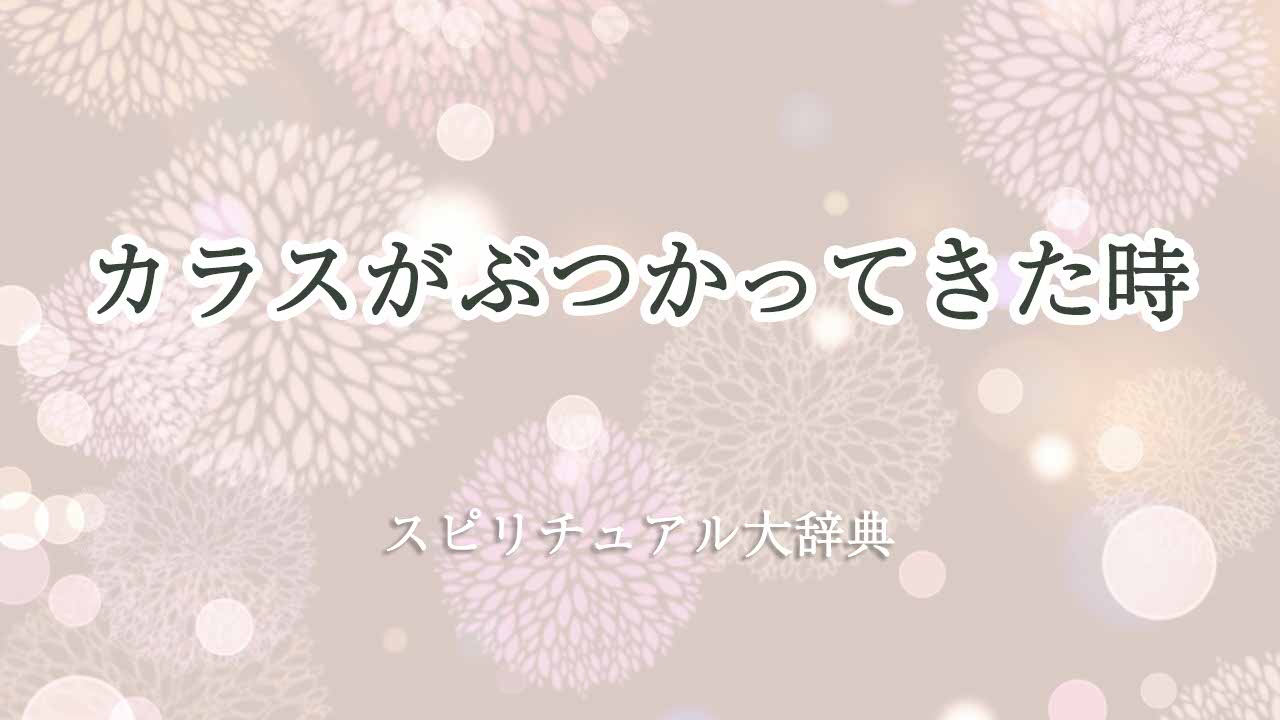 カラスがぶつかってきた-スピリチュアル