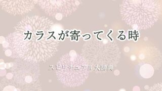 カラスが寄ってくる-スピリチュアル