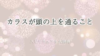 カラスが頭の上を通る-スピリチュアル