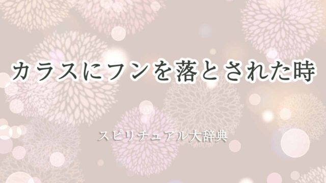 カラスにフンを落とされた-スピリチュアル