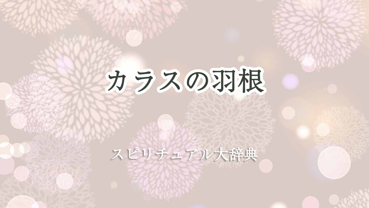 カラスの羽根スピリチュアル