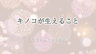 キノコが生える-スピリチュアル