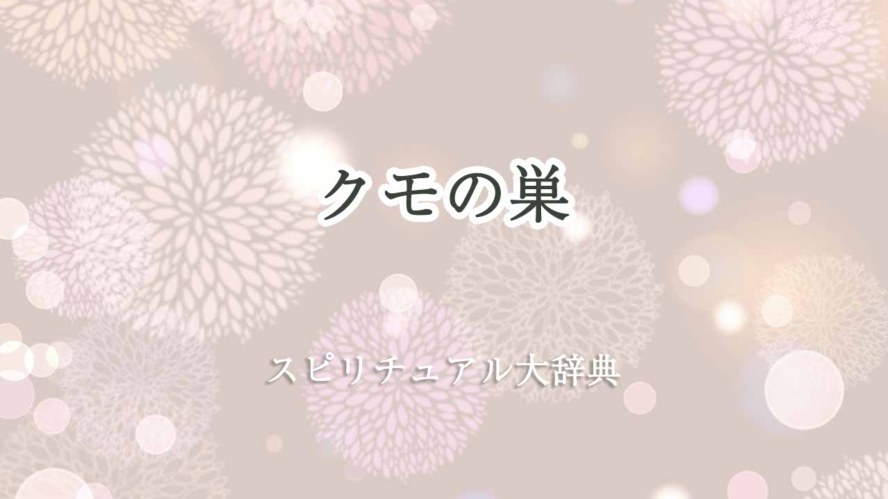 クモの巣スピリチュアル