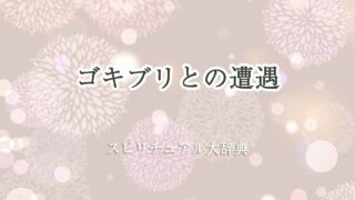 ゴキブリ-遭遇-スピリチュアル