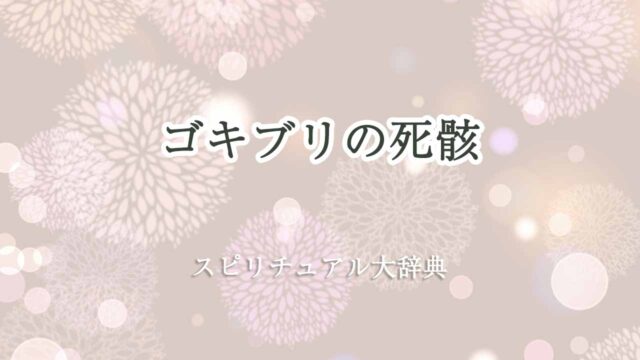 ゴキブリの死骸-スピリチュアル