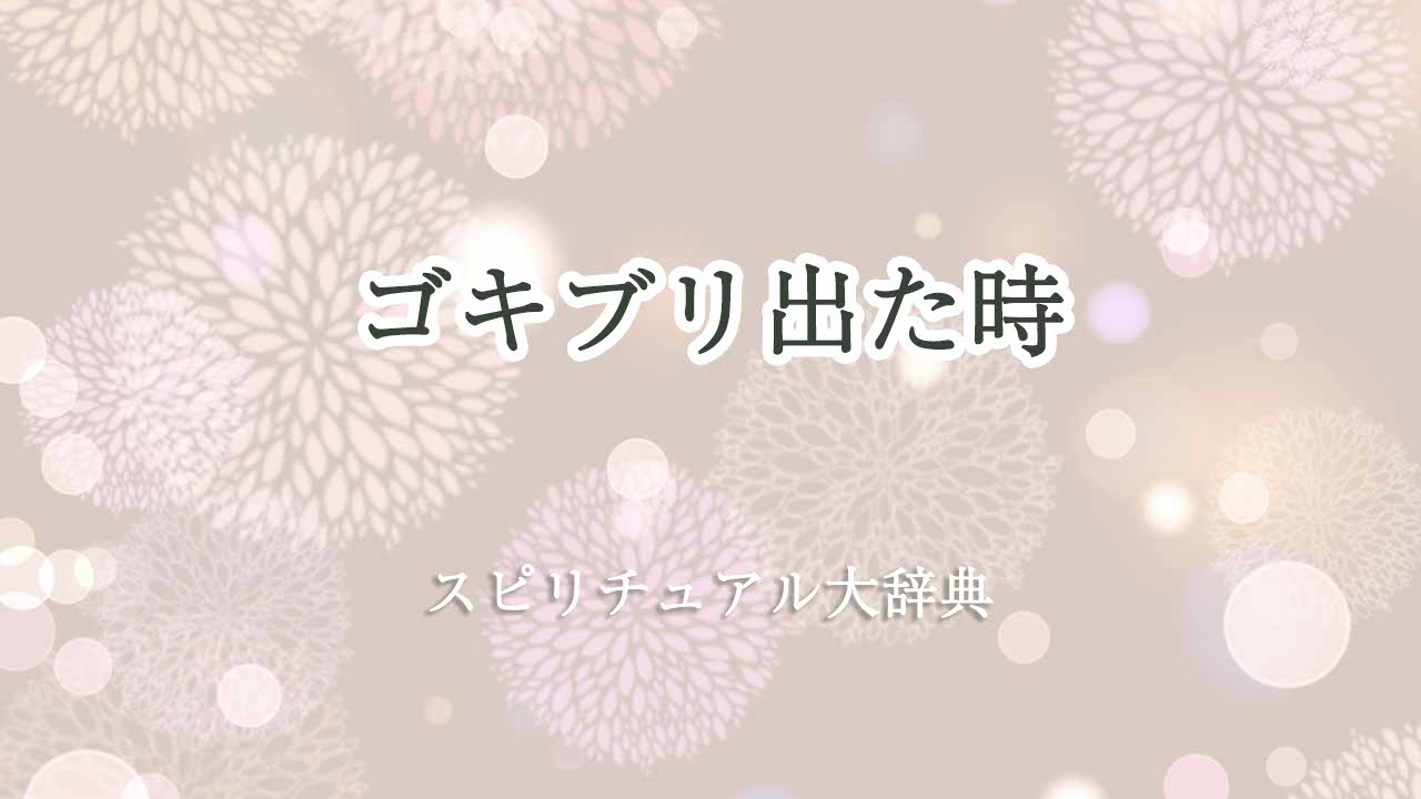 ゴキブリ出た-スピリチュアル