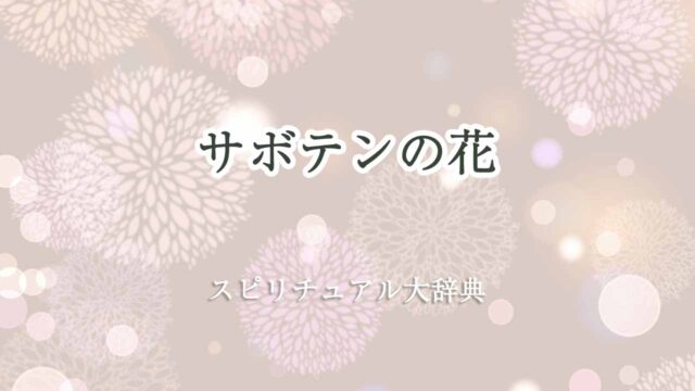 サボテン-の-花-スピリチュアル