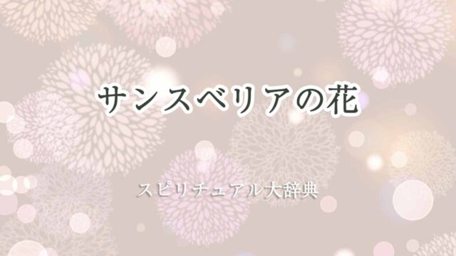 サンスベリア-花-スピリチュアル