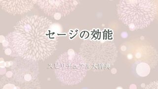 セージ-効能-スピリチュアル