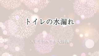 トイレ-水-漏れ-スピリチュアル