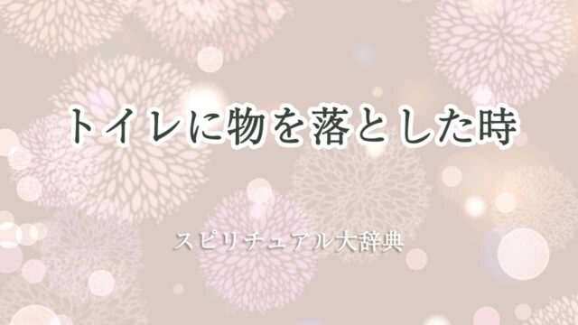 トイレに物を落とした-スピリチュアル