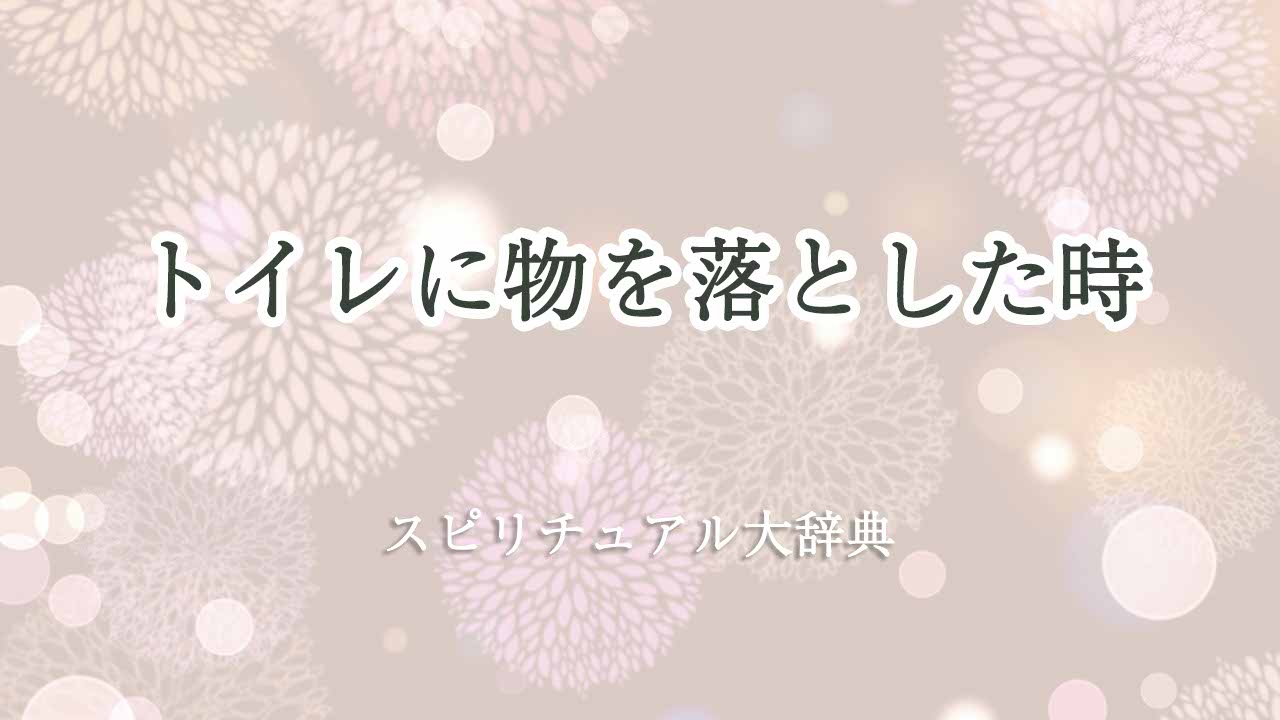 トイレに物を落とした-スピリチュアル