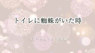 トイレに蜘蛛-スピリチュアル