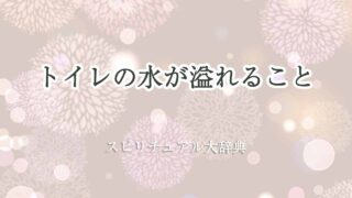 トイレの水が-溢れる-スピリチュアル