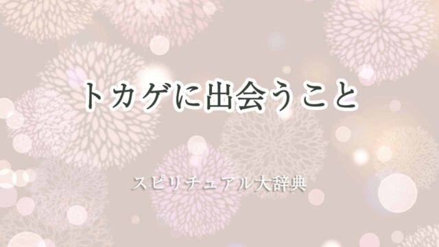 トカゲに出会う-スピリチュアル