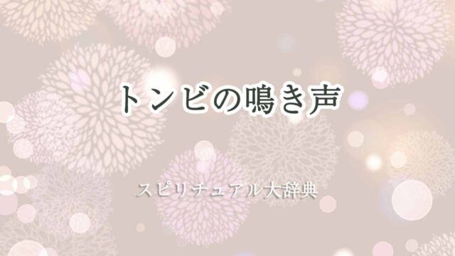 トンビ-鳴き声-スピリチュアル