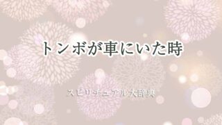 トンボ-スピリチュアル-車