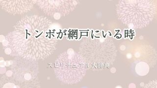 トンボ-網戸-スピリチュアル