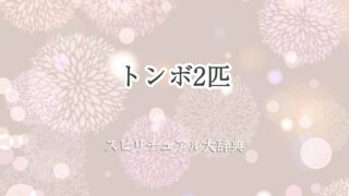 トンボ2匹-スピリチュアル