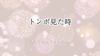 トンボ見た-スピリチュアル